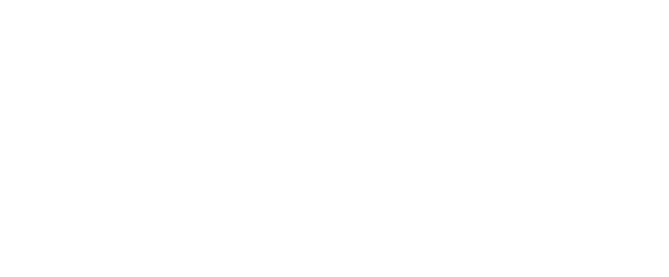Logo White